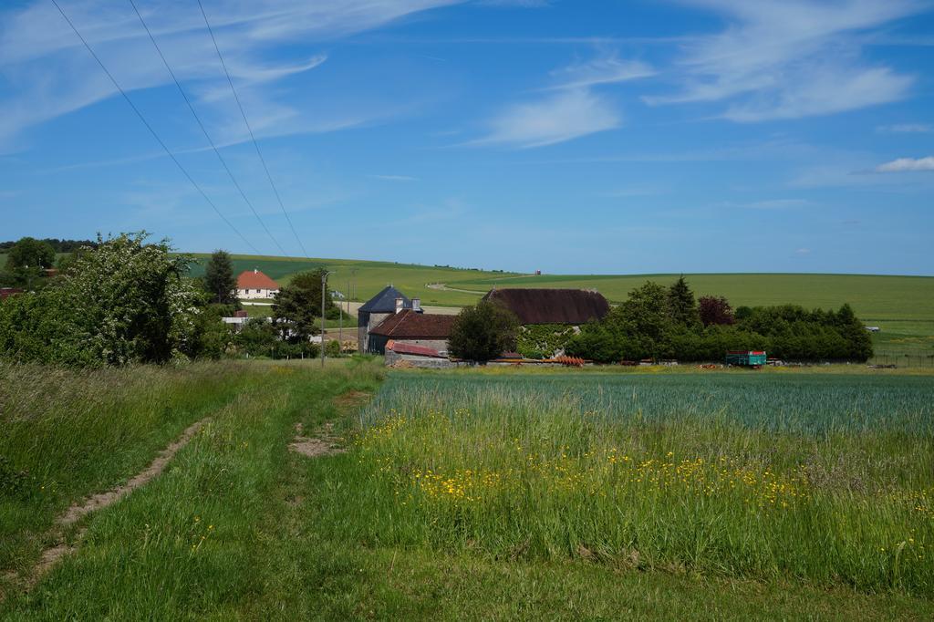 La Grille Fleurie, Chambres D'Hote Chez L'Habitant Arthonnay Zewnętrze zdjęcie